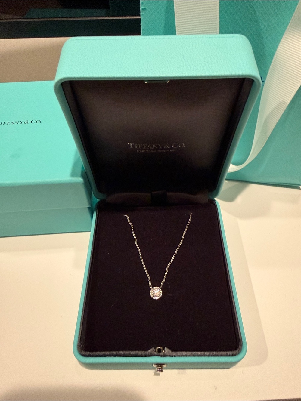 Tiffany & Co. Silver Necklace with White Sparkling Center Stone